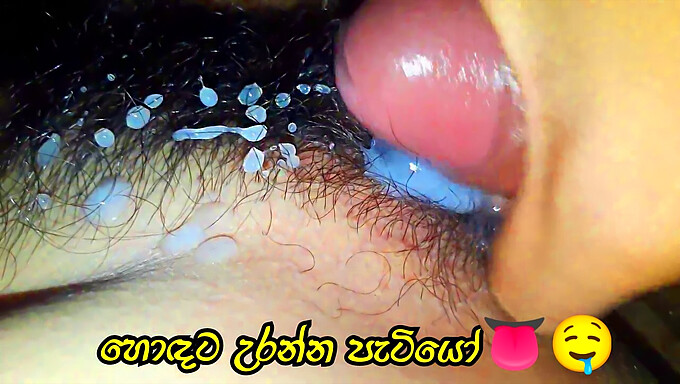 Big Cock Sinhala Homemade Video With Close-Up Cumshot