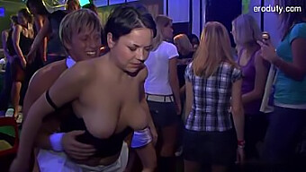 Černá Gayka 18+ Je Na Koni: Úžasný Anál Od Černých Gayů