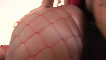 Grandes Tetas Pretas Recebem Tratamento Com Strap-On Em Vídeo Hardcore