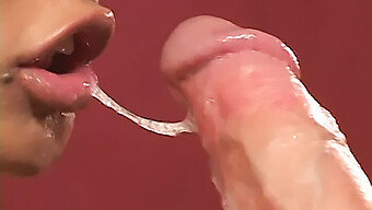 A Small And Beautiful Woman Gets Her Moist Vagina Filled With A Firm Penis